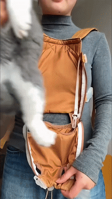 Hands-free breathable cat carrier in use